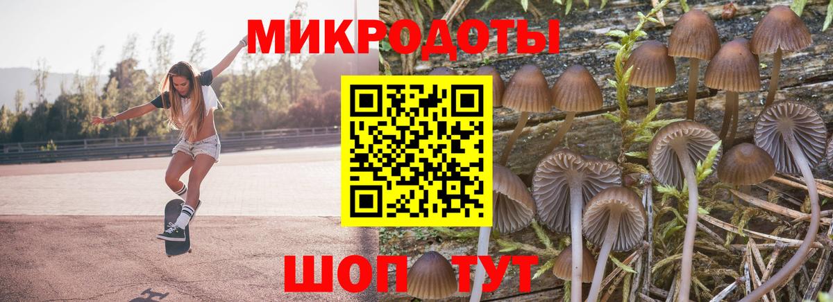 Псилоцибиновые грибы мухоморы  Вход с VPN  наркота  Касимов 