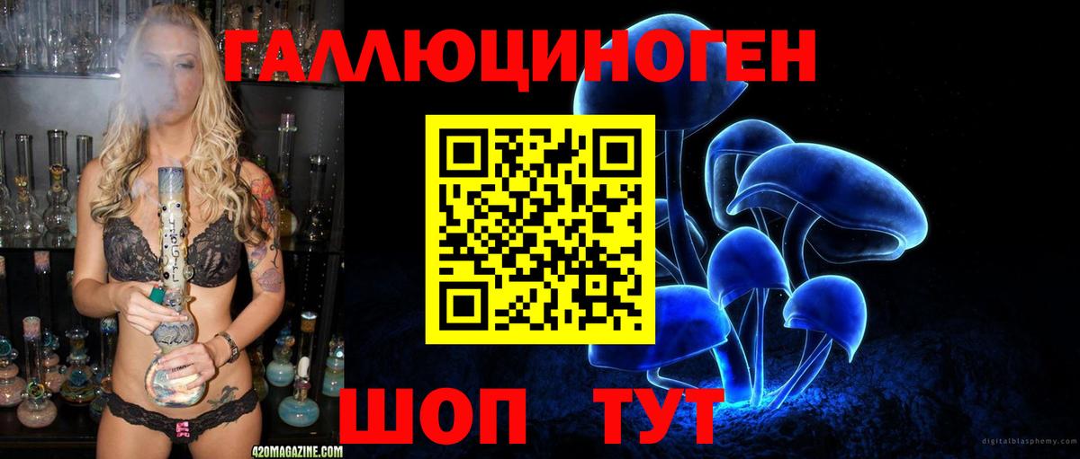 Галлюциногенные грибы Psilocybe Касимов
